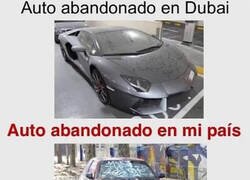 Enlace a Diferencias notorias