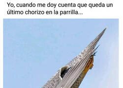 Enlace a Soy rápido y preciso