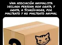 Enlace a Este meme se ha publicado y no se publicado en CC......