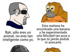 Enlace a La felicidad del ignorante