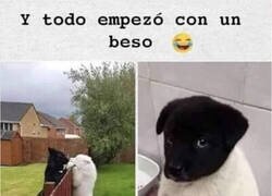 Enlace a Así empezó todo