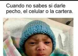 Enlace a Así son los bebés en mi barrio