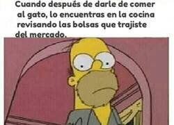 Enlace a ¿Qué estás haciendo, Misifú?