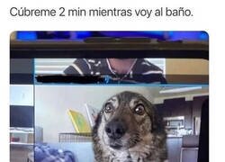 Enlace a Un perro te sirve para todo