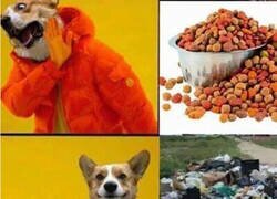 Enlace a Prefiere alborotar la basura