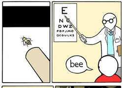 Enlace a Veía mejor que todos