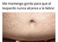 Enlace a El cinturón perfecto no exi...