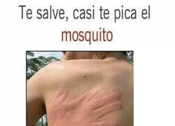 Enlace a Gracias... creo...