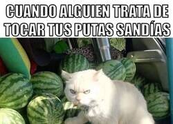 Enlace a Son mis sandías