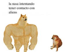 Enlace a A mí ya me cuesta con los de aquí...