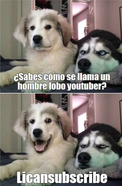 bad pun dog,hombre lobo,licántropo,youtuber