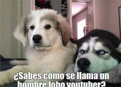 Enlace a El hombre lobo youtuber