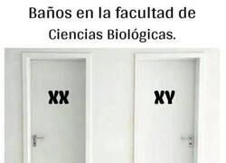 Enlace a Entre ellos se entienden