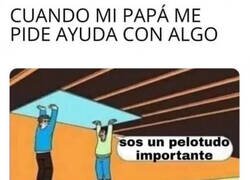 Enlace a ¿Y ahora qué?