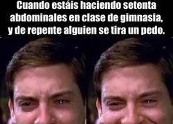 Enlace a Algo divertido entre tanto dolor