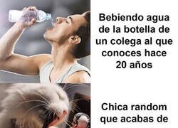 Enlace a La hipocresía