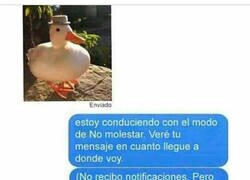 Enlace a Esto tiene que verlo ya