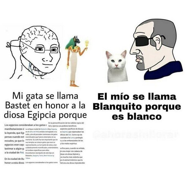 Meme_otros - Sin más