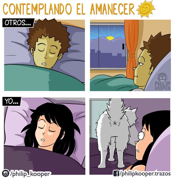 Otros - Amanecer