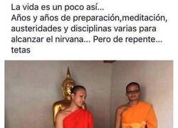 Enlace a Nada de lo aprendido sirvió para nada