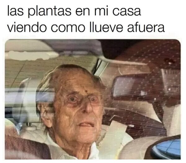 Meme_otros - Quién viviera en el exterior...