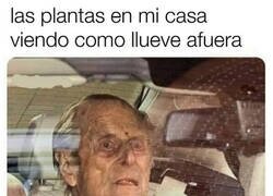 Enlace a Quién viviera en el exterior...