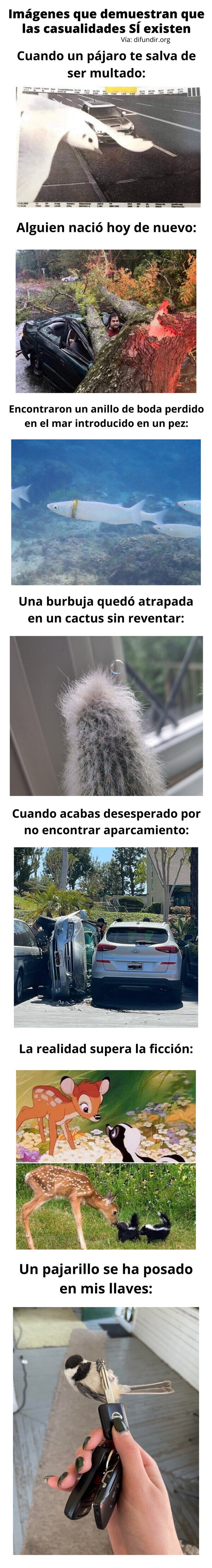 Meme_otros - Imágenes que demuestran que las casualidades SÍ existen