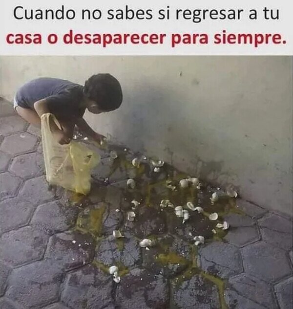 Meme_otros - Mamá se va a cabrear