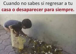 Enlace a Mamá se va a cabrear