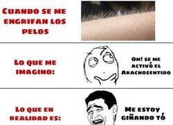 Enlace a Aracnosentido