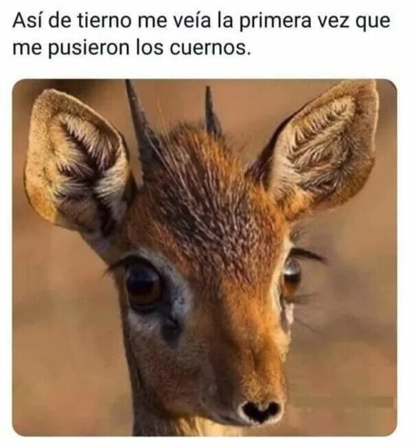 Meme_otros - Era tan inocente