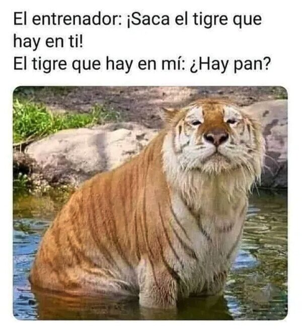 Otros - El tigre que llevo dentro