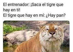Enlace a El tigre que llevo dentro