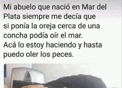 Enlace a El abuelo tenía razón