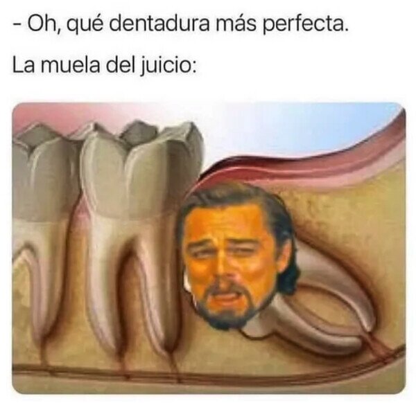 Meme_otros - No tan perfecta como parece