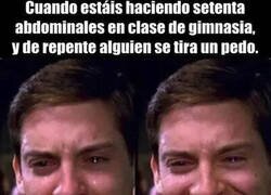 Enlace a Momento de destensión