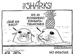 Enlace a A nadie le gusta eso