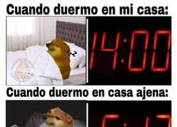 Enlace a Como en casa, en ningún sitio