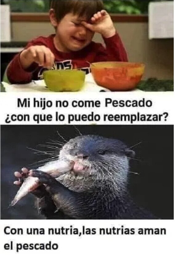 Meme_otros - La nutria no se te va a quejar