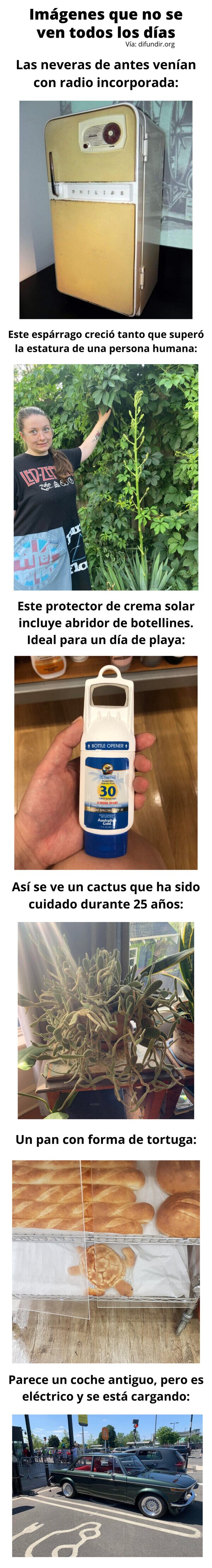 Meme_otros - Imágenes que no se ven todos los días