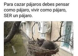 Enlace a Quizá solo está esperando para cuando lleguen