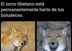 Enlace a Constantemente harto de ti