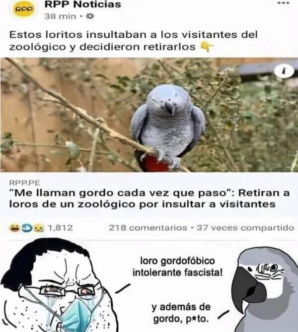 Meme_otros - Los loros gordofóbicos