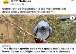 Enlace a Los loros gordofóbicos