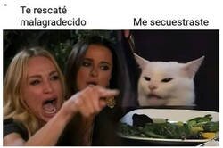 Enlace a Los que tienen gato no le preguntaron si querían estar consigo