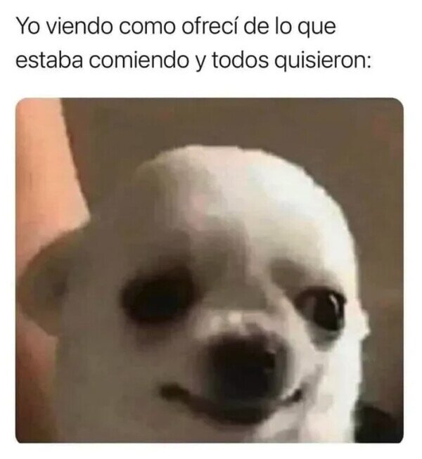 Meme_otros - ¡Maldita sea!