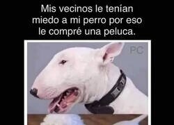 Enlace a ¡Perrotruco!