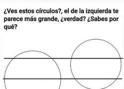 Enlace a ¿Ves estos círculos?