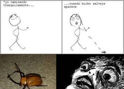 Enlace a Las maquinaciones de un friki