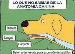 Enlace a Siempre funciona